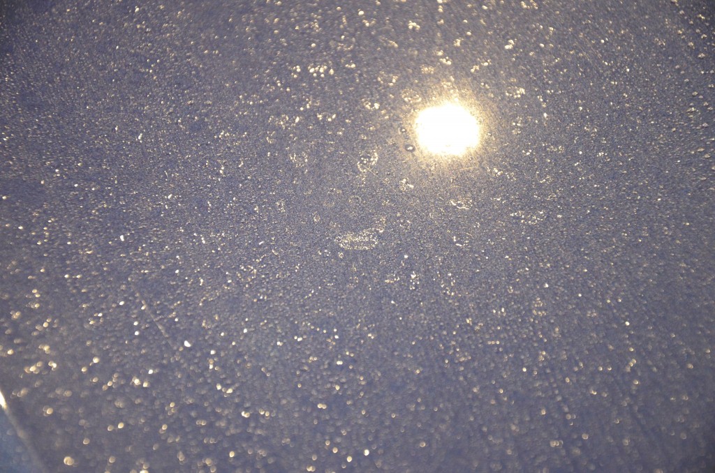 洗車後も取れない花粉と雨染みの後